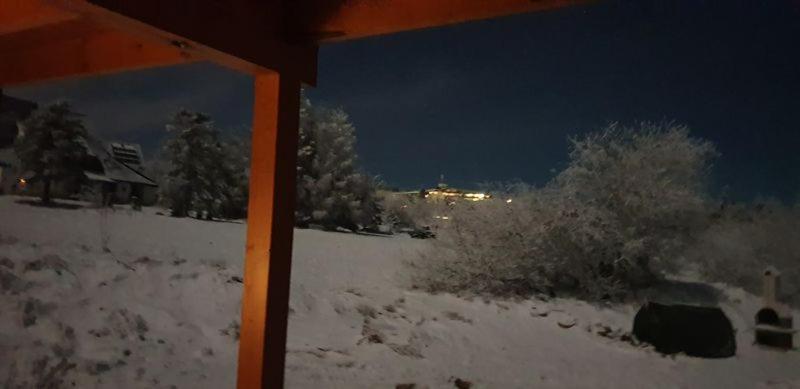Holzblockhaus Magdalena Villa Altenberg Bagian luar foto